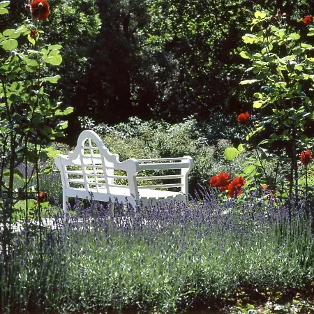 Gut Klein Bollhagen Ferienpark Wittenbeck