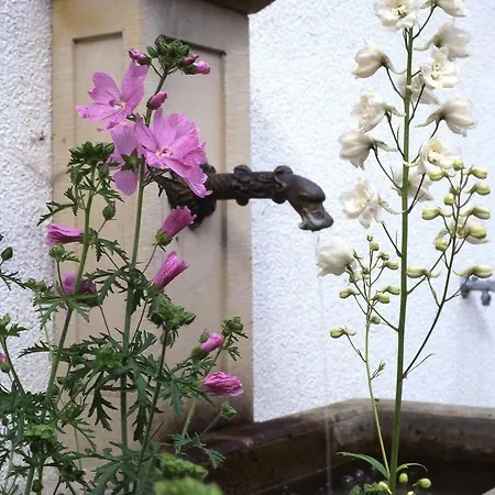 Gut Klein Bollhagen Ferienpark *
